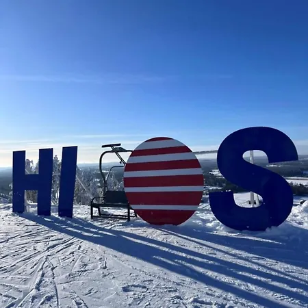Honkahimos 7, Pohjois-huippu, Jämsä
